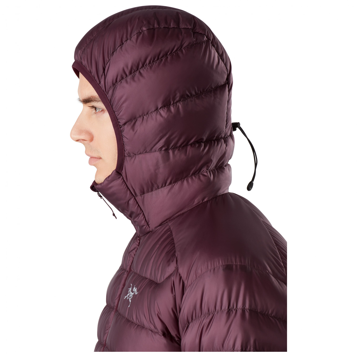 arcteryx down parka