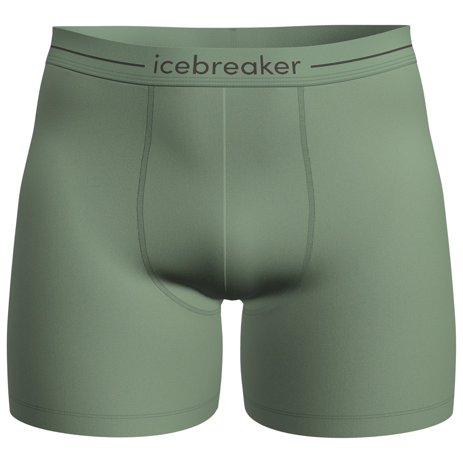 Icebreaker Anatomica Mérinos M homme pas cher