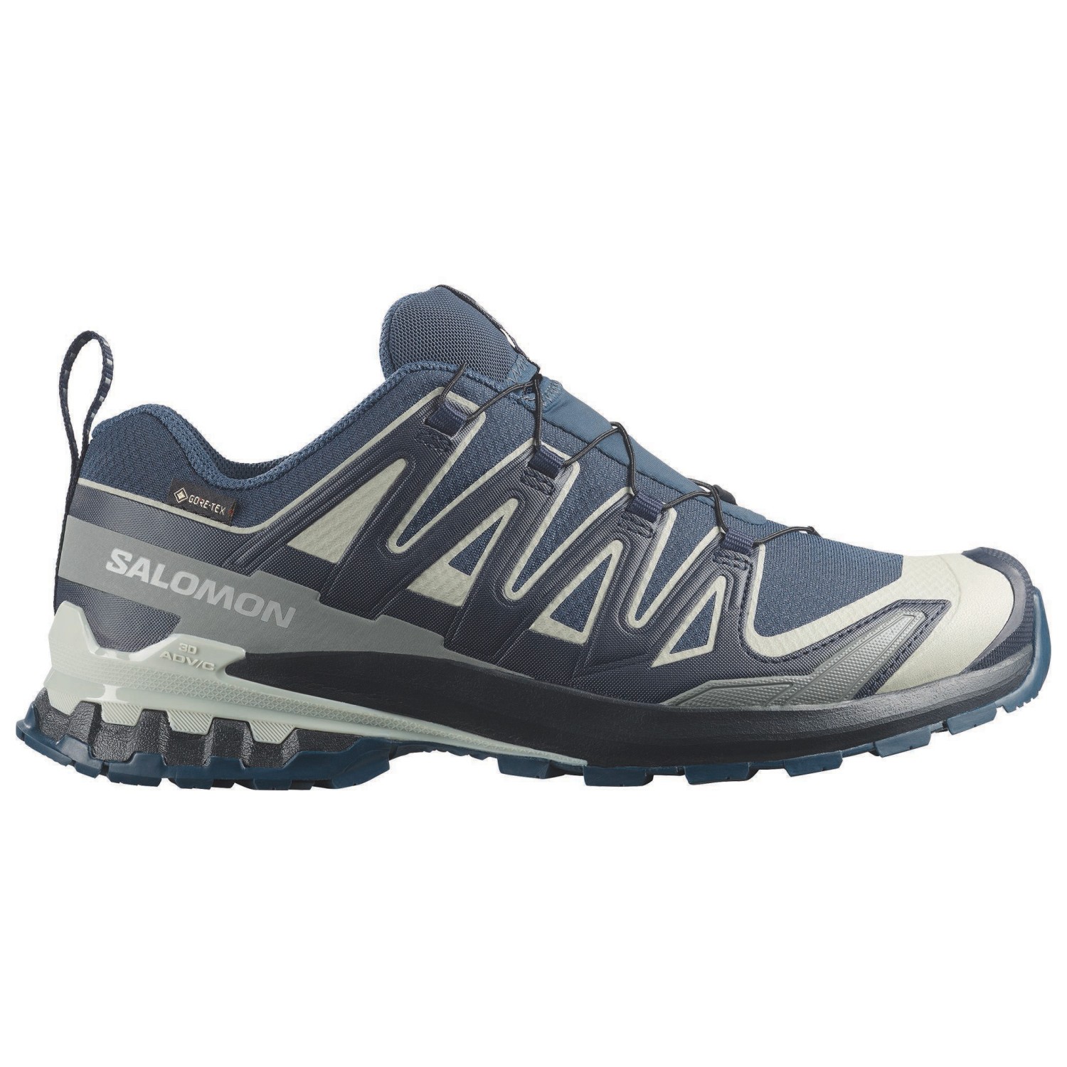 Salomon XA Pro 3D V9 GTX - Multisport Shoes Men's | Free UK