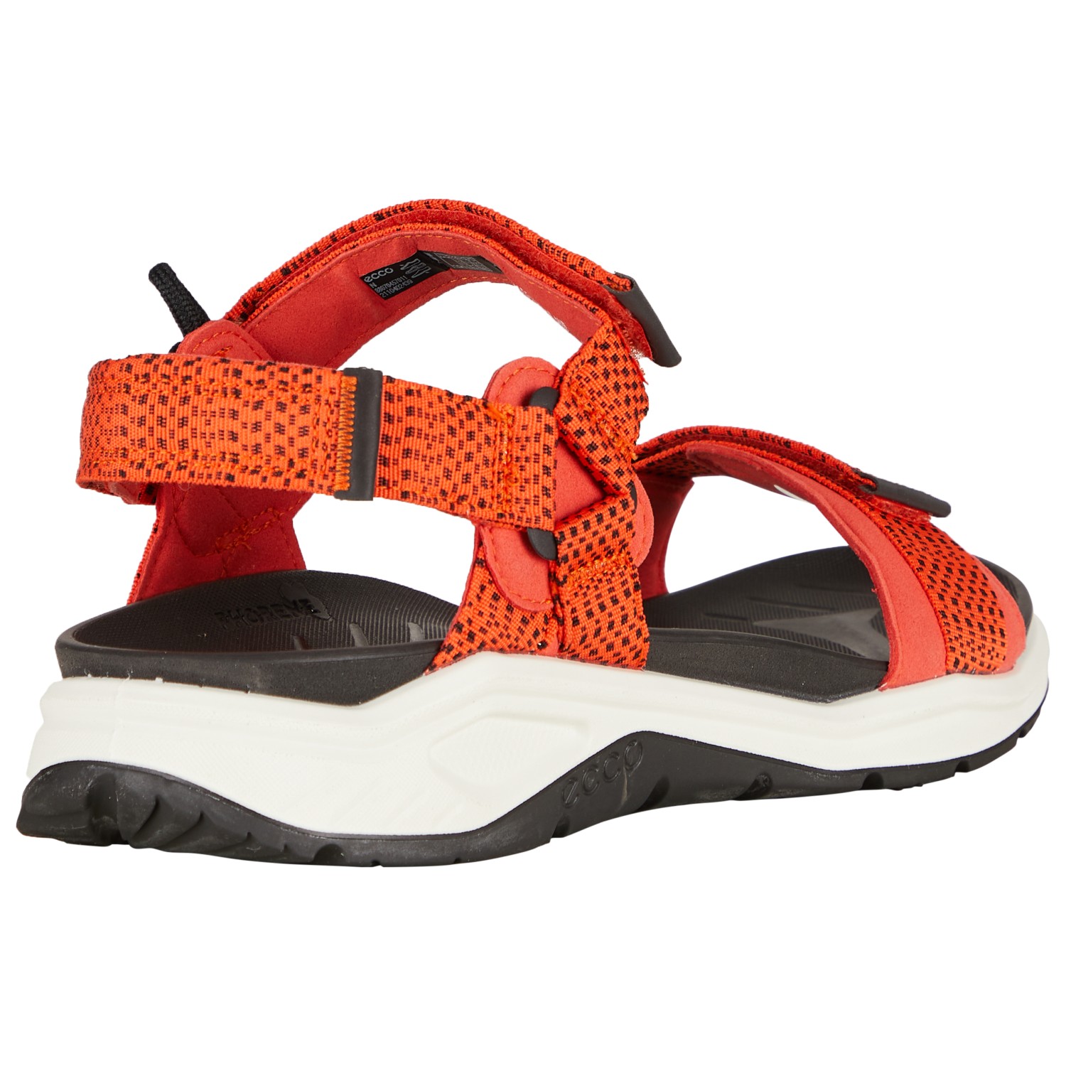 Ecco X-Trinsic 3S Water - Sandali da trekking Uomo | Porto franco |  Bergfreunde.it