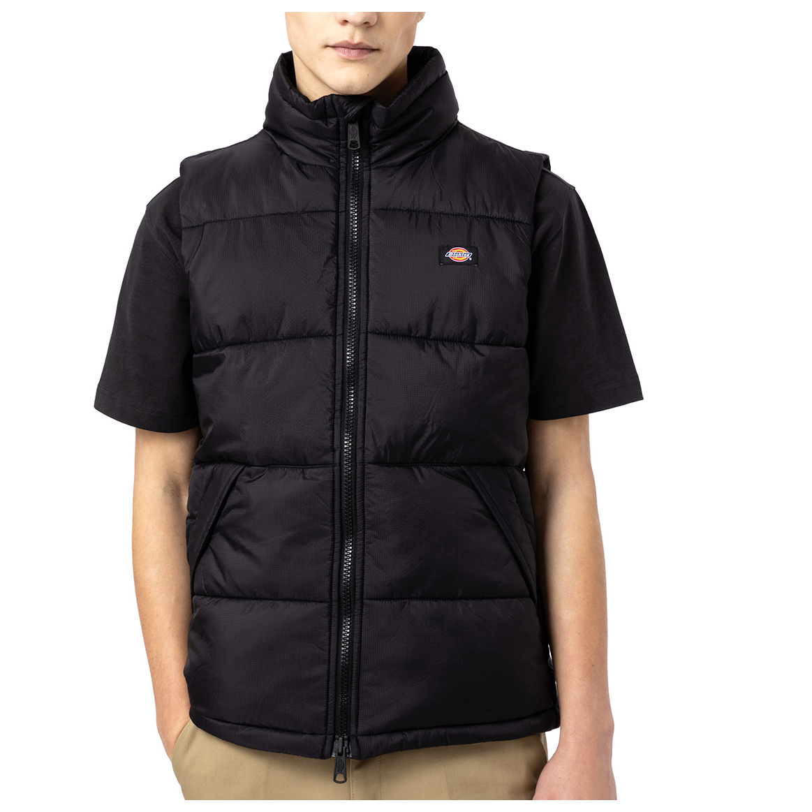 Dickies Waldenburg Hooded - Freizeitjacke Herren online kaufen