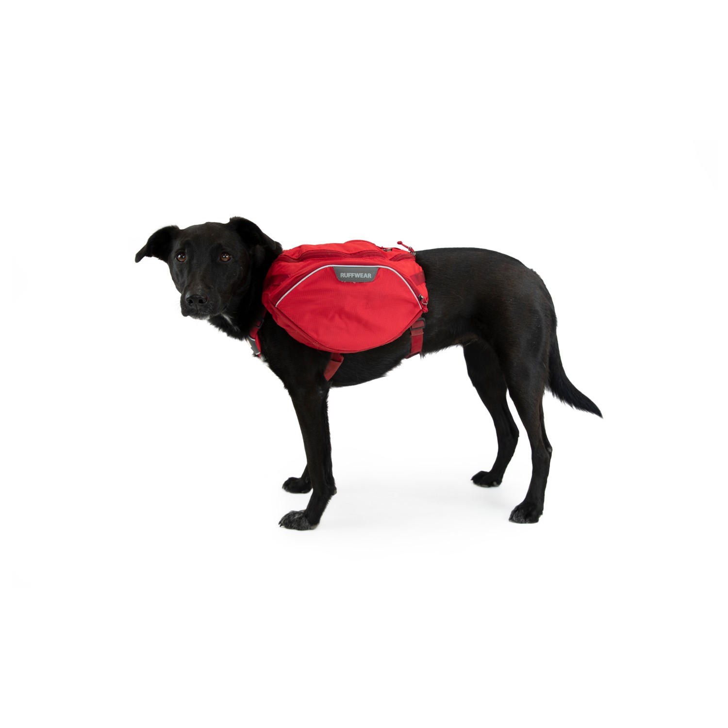 ruffwear outlet