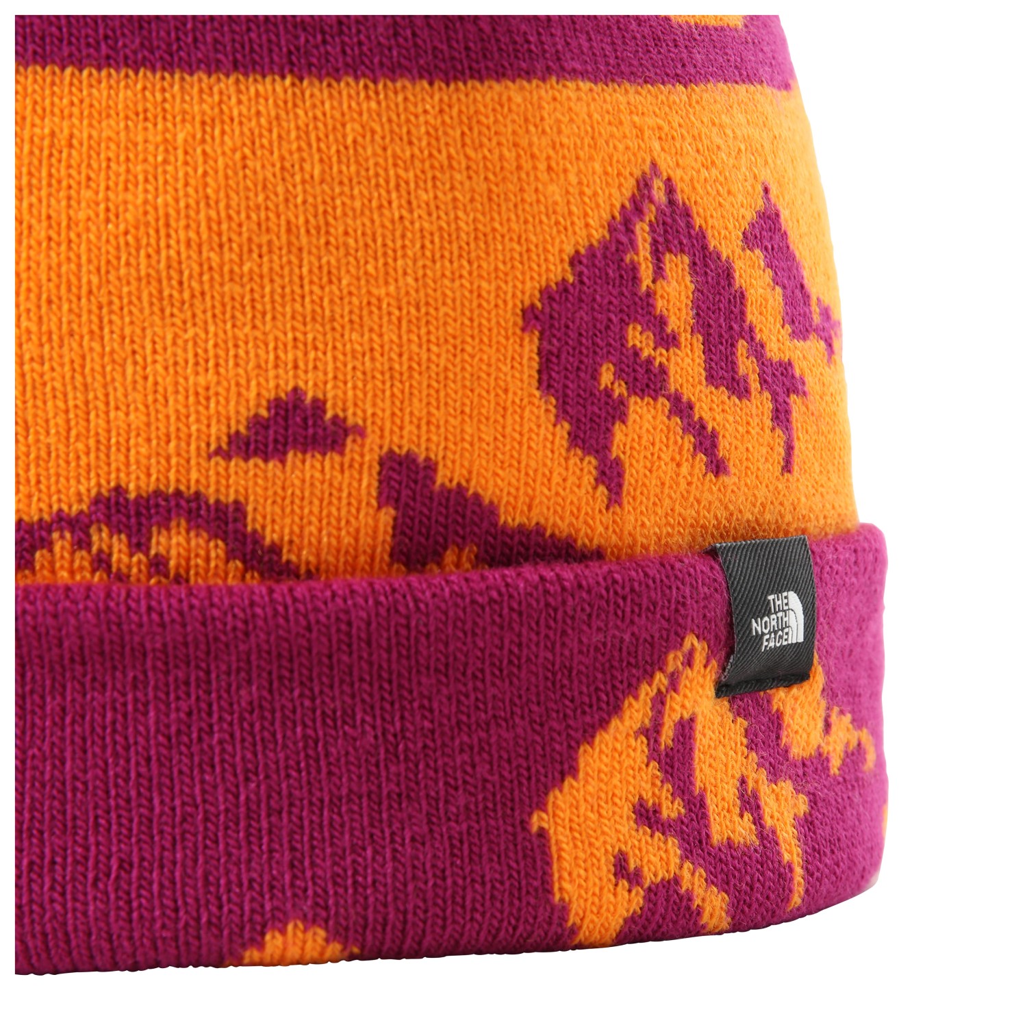 The North Face Ski Tuke - Beanie | Buy 