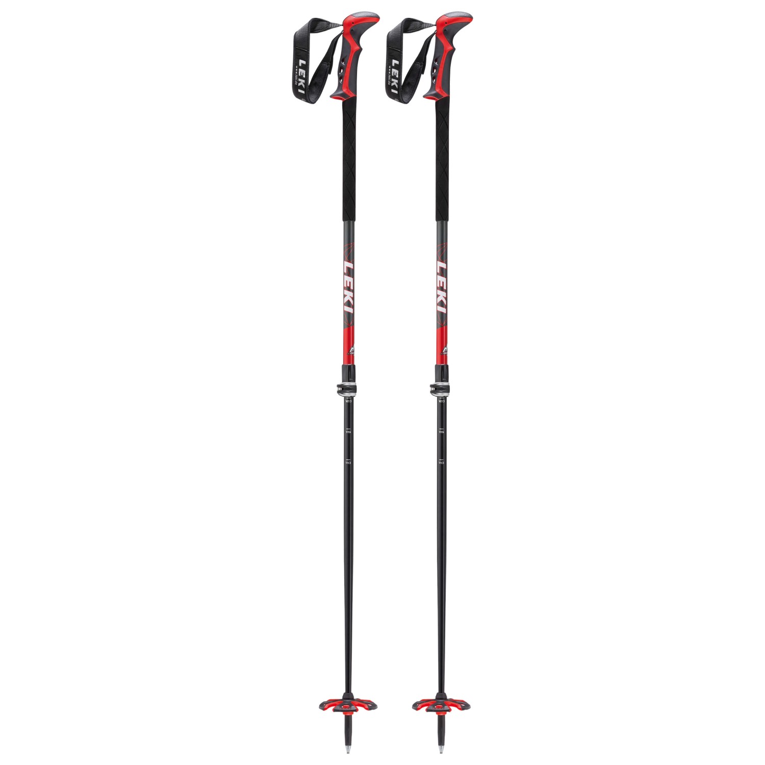 alpine ski poles