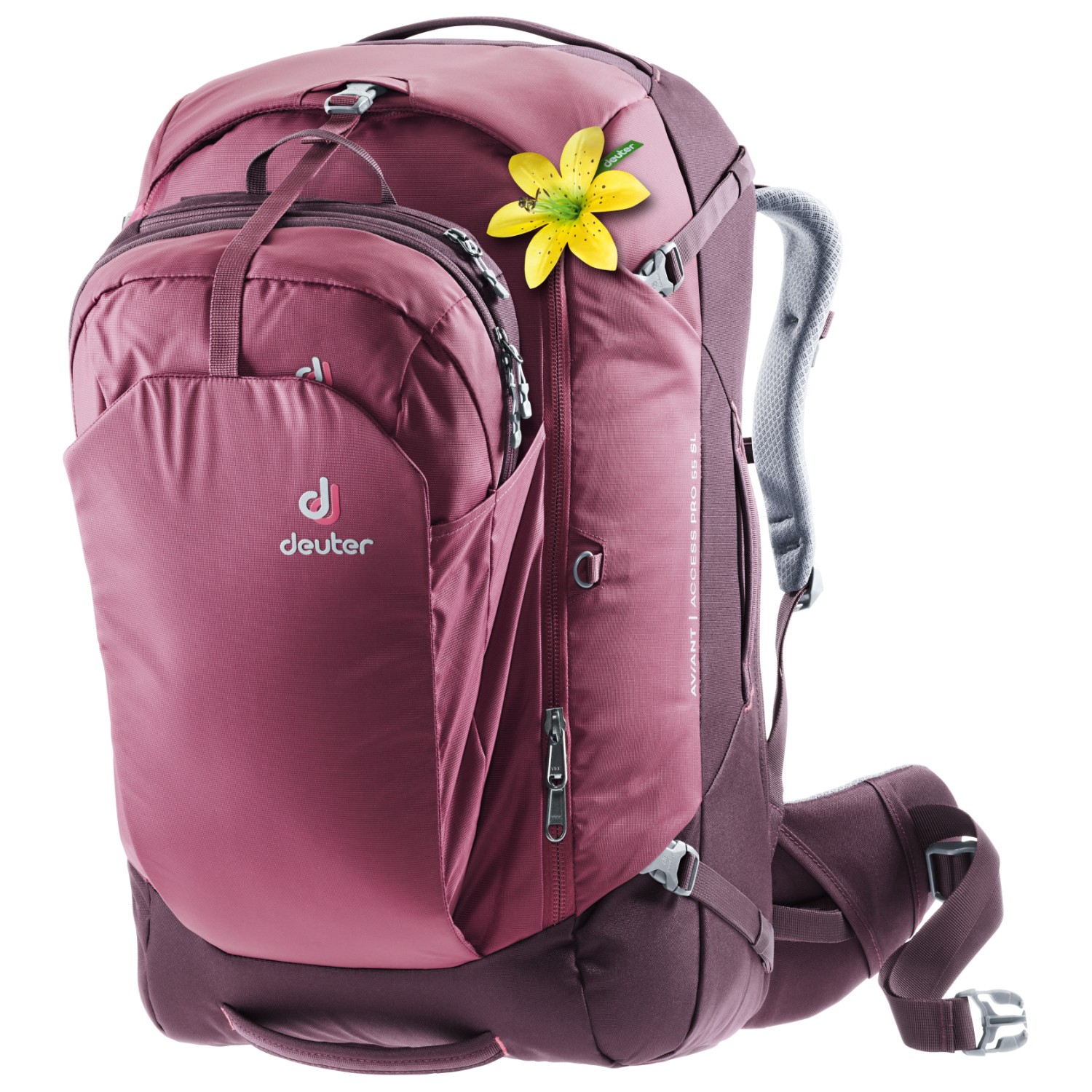 deuter aviant access