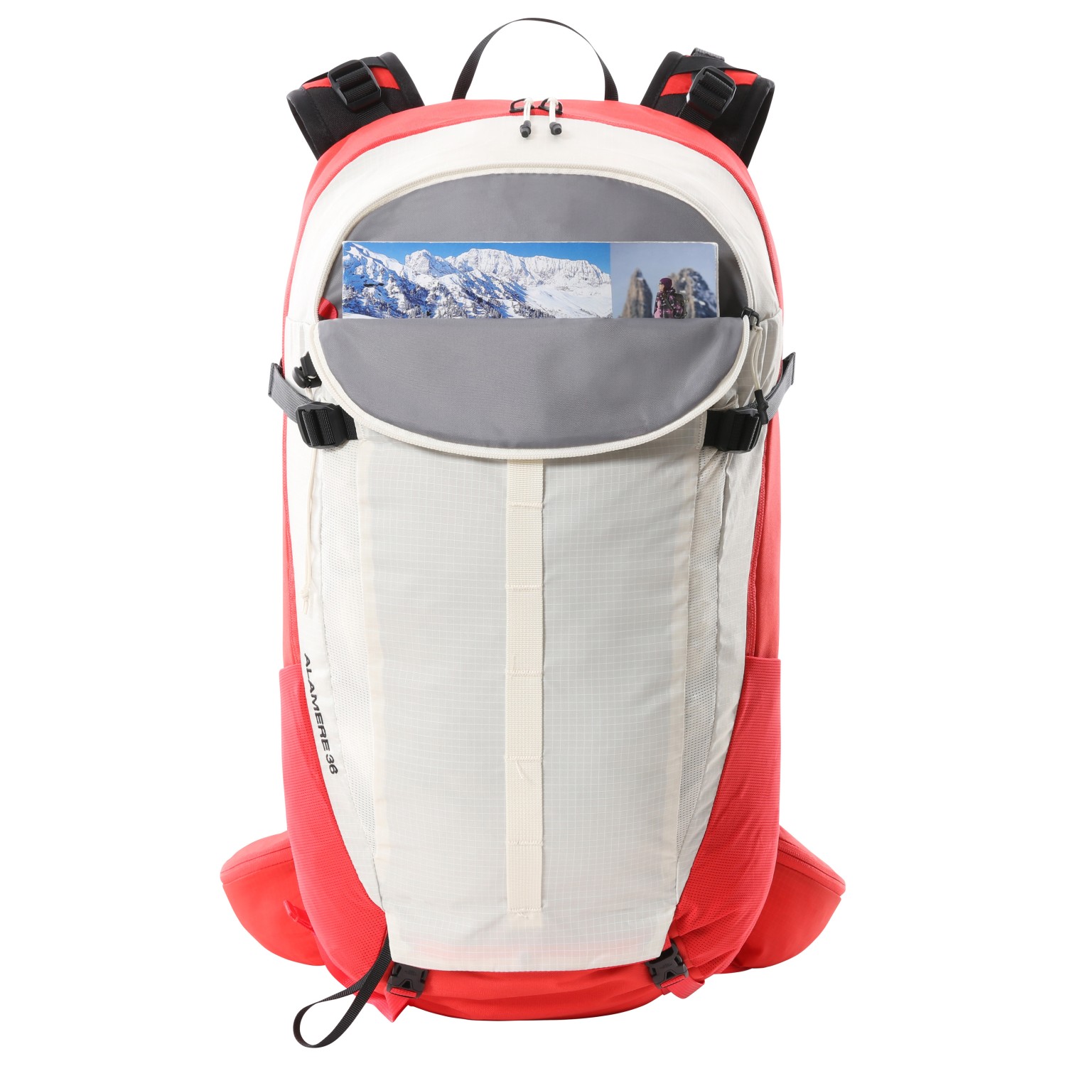 north face beige backpack