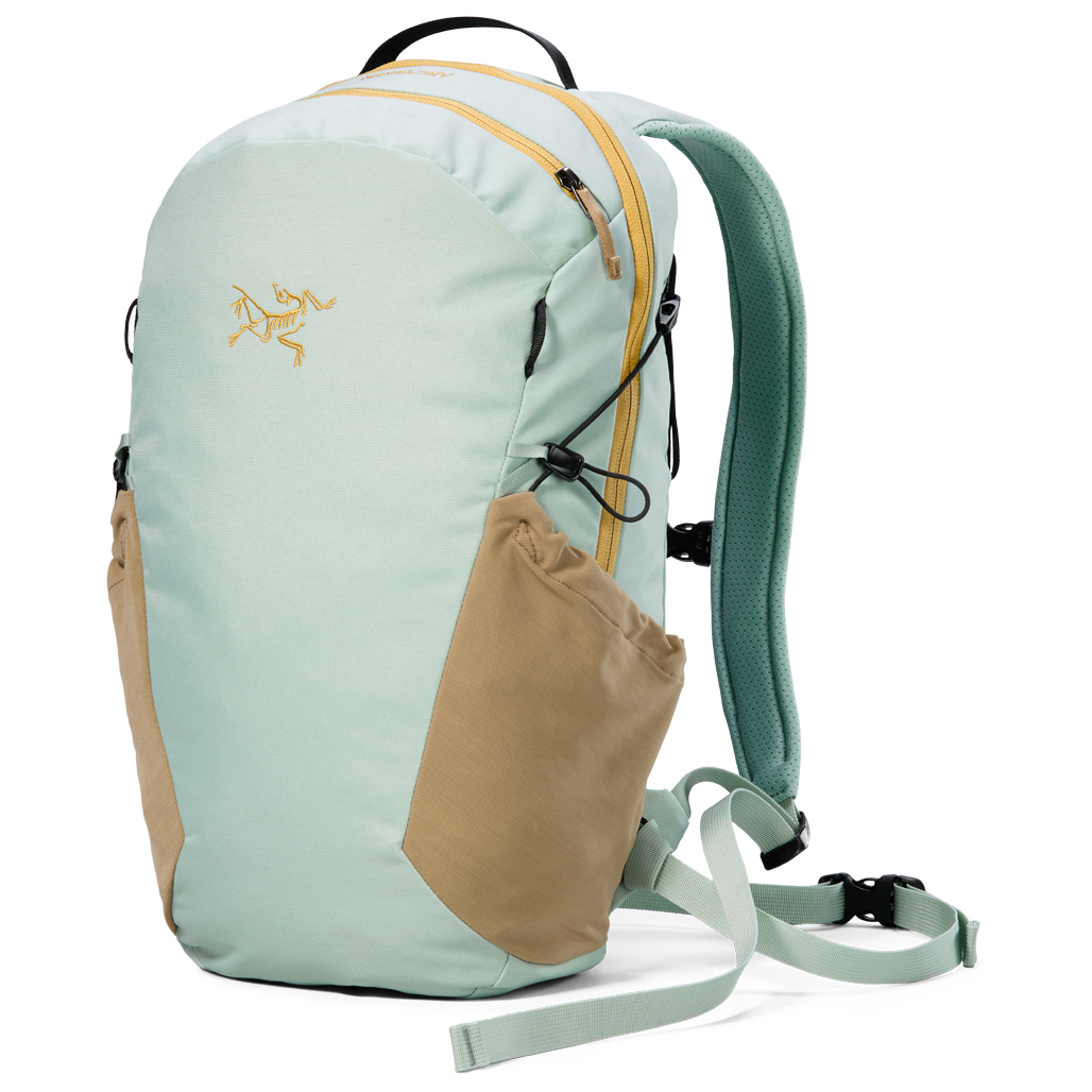 Lpitoy Insect Backpack For Boys Girls, Cute Dragonflies Mantis