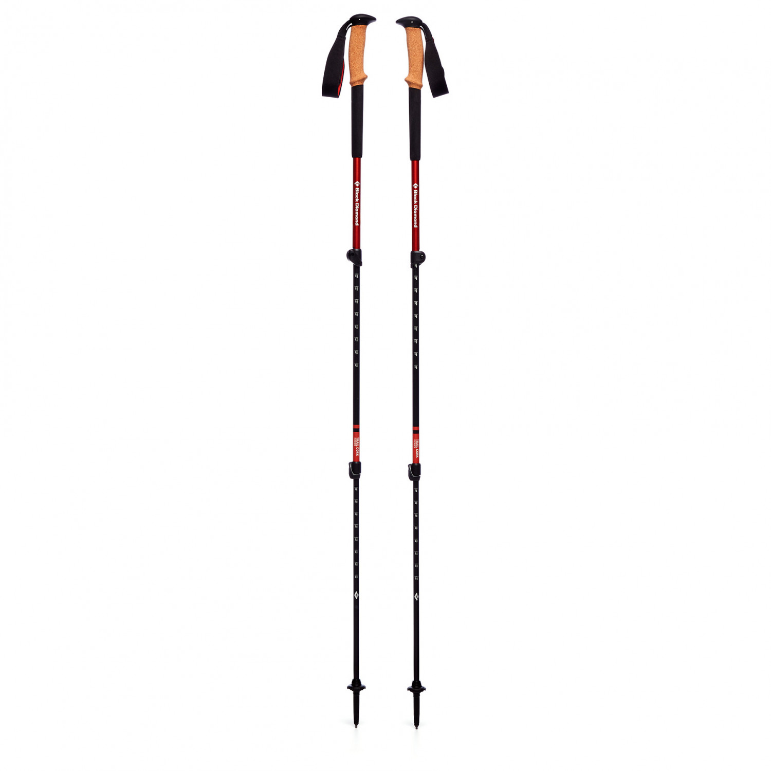 Trail Cork Trekking Poles | Laurel Green