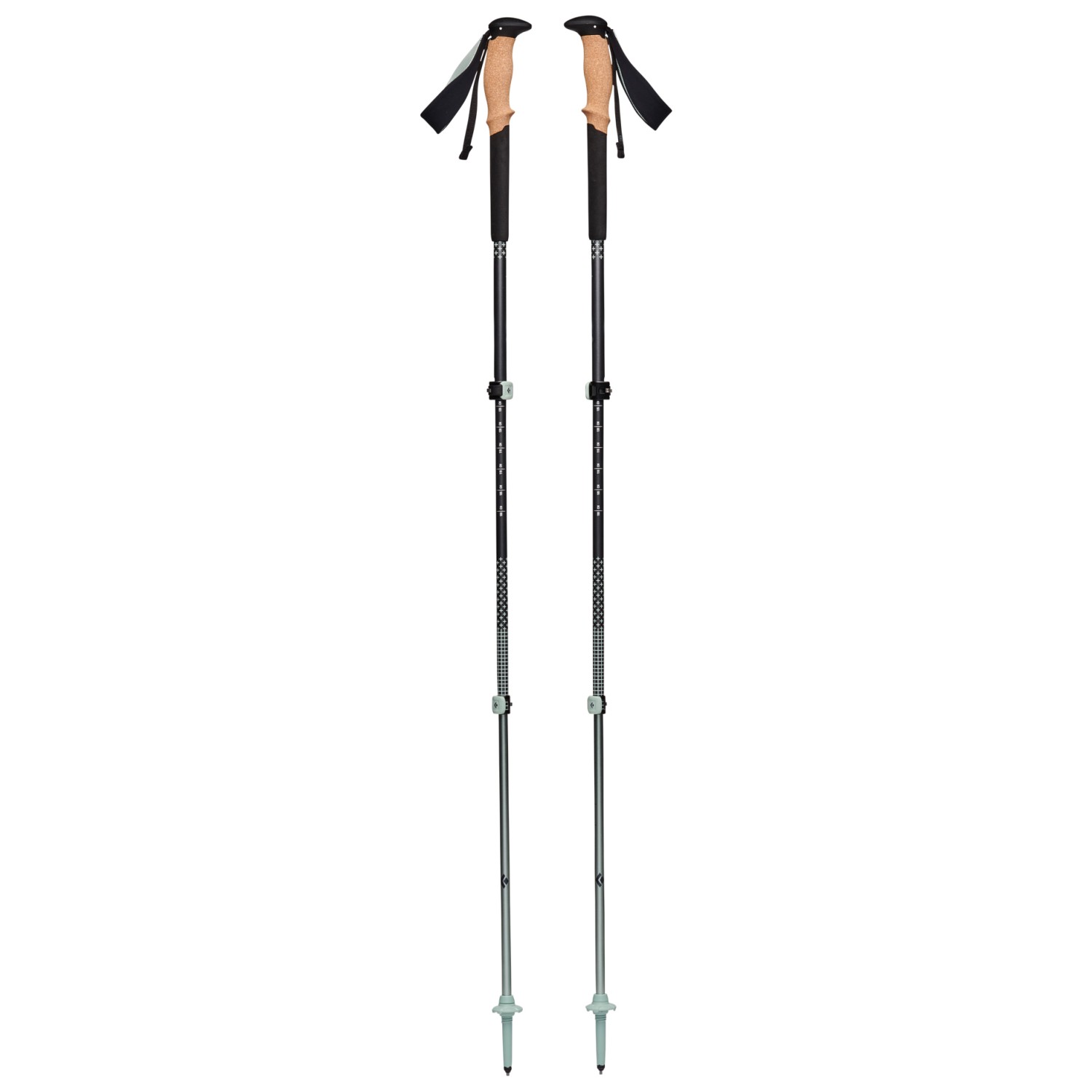 BLACK DIAMOND PURSUIT FLZ TREKKING POLES BLACK-OCTANE - Bâton