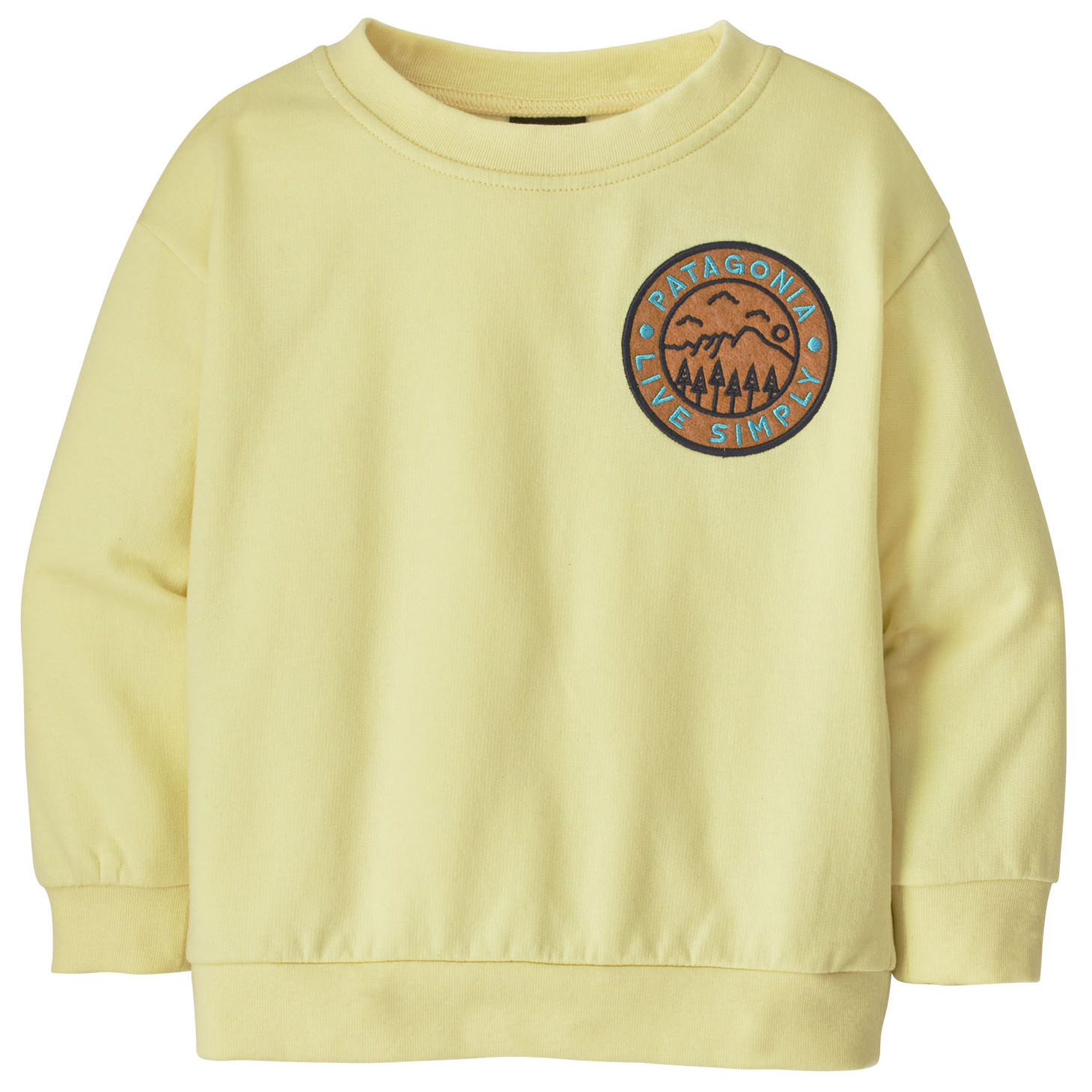 patagonia baby lightweight crew sweatshirt