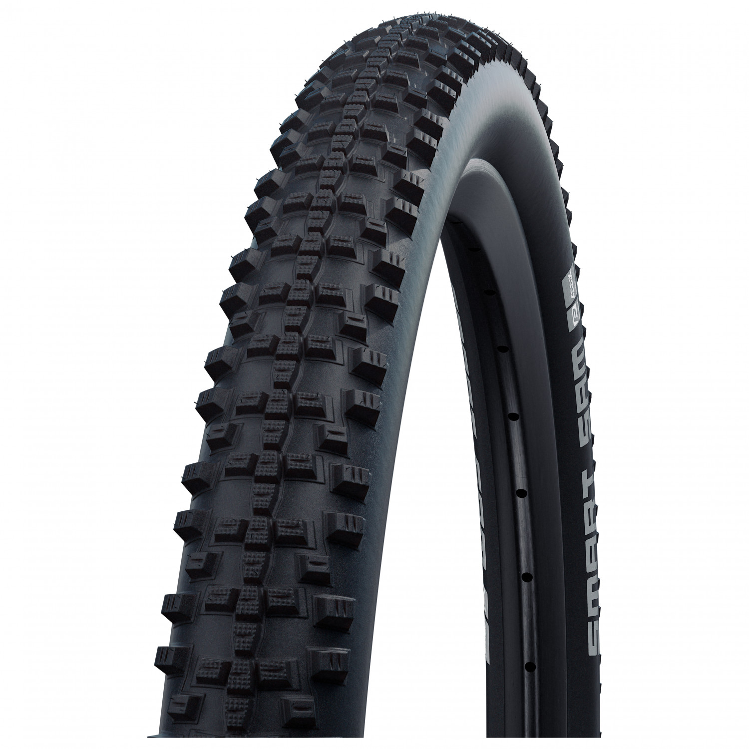 26 schwalbe