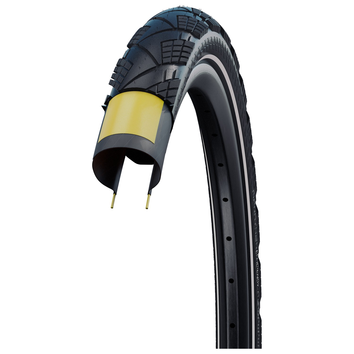 Schwalbe
