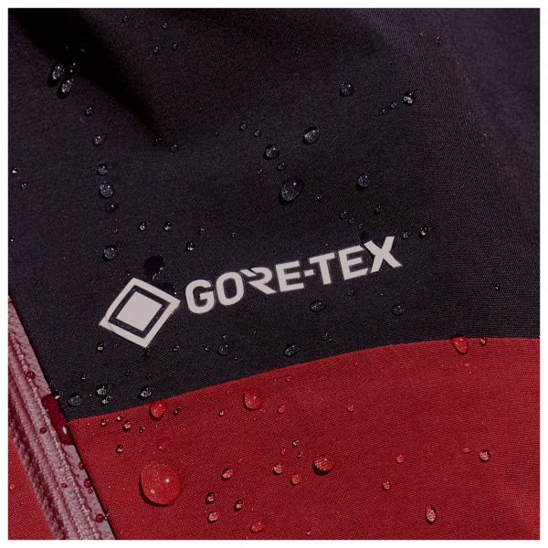 Berghaus - MTN Arete Descend GTX Jacket - Regnjakke
