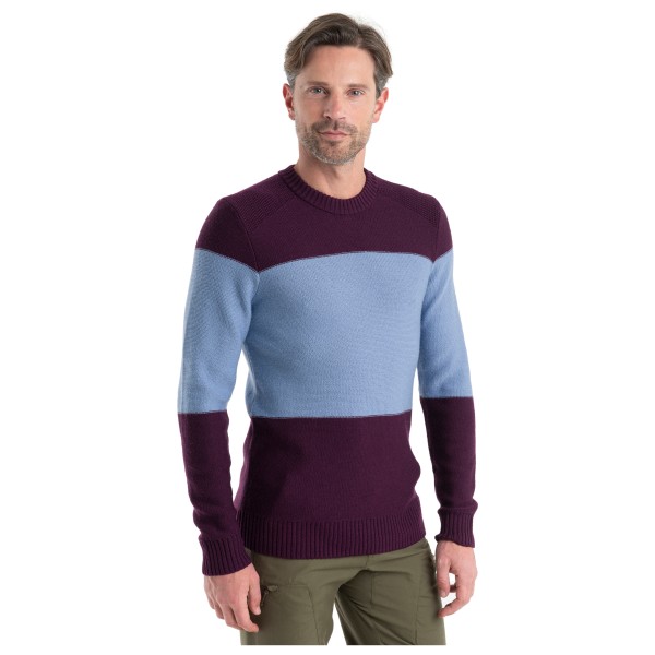 Icebreaker - Waypoint Crewe Sweater - Merinowollen trui