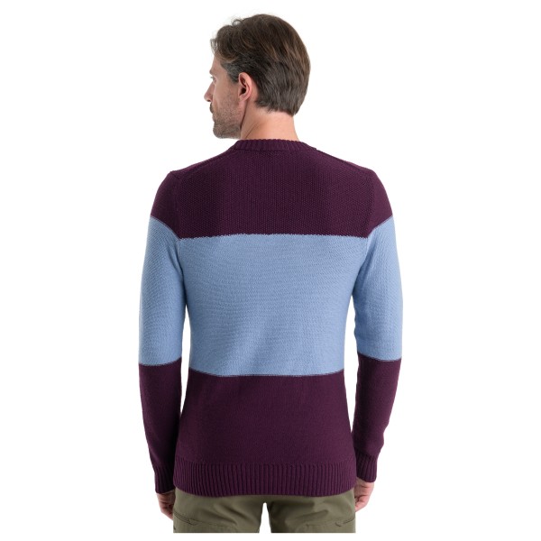 Icebreaker - Waypoint Crewe Sweater - Merinowollen trui