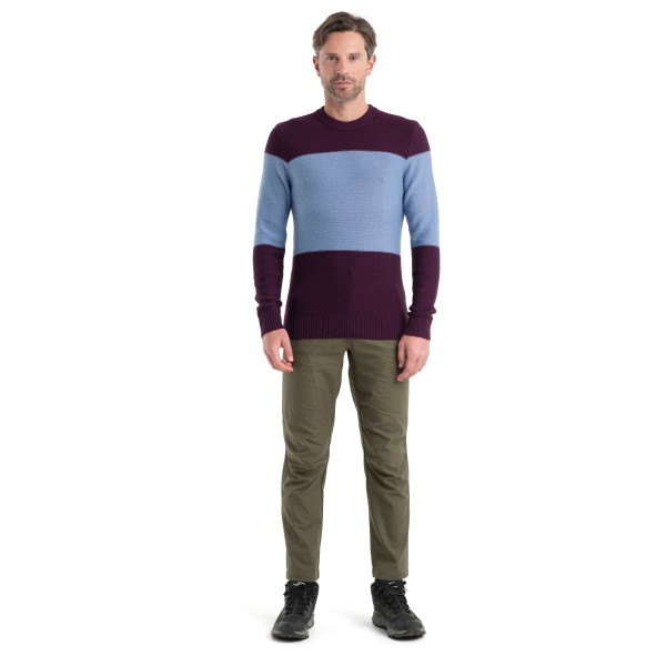 Icebreaker - Waypoint Crewe Sweater - Merinowollen trui