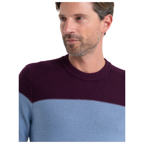 Icebreaker - Waypoint Crewe Sweater - Merinowollen trui