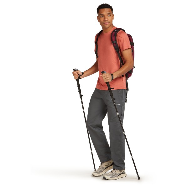 Icebreaker - Merino Elevation Stretch Pants - Pantalones de trekking