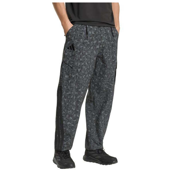 adidas Terrex - Cargo Pants AOP - Trekkinghousut