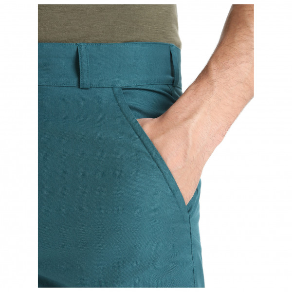 Icebreaker - Hike Shorts - Pantalones cortos