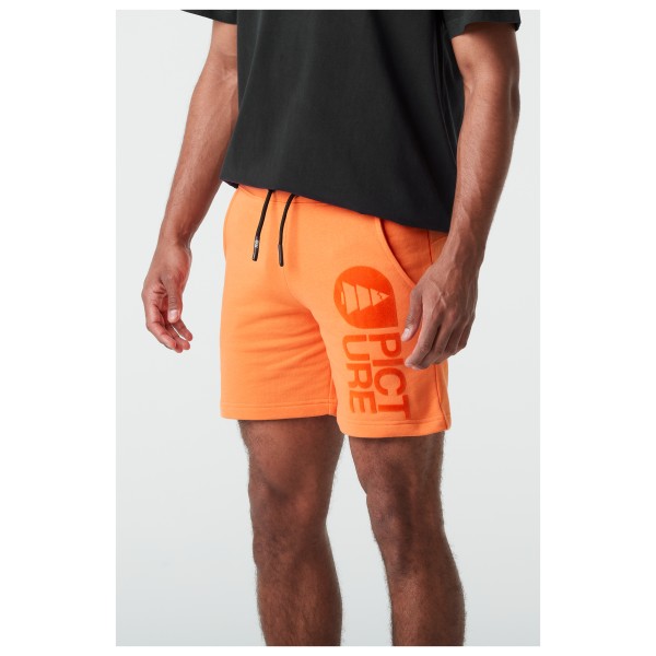 Picture - Basement Shorts - Shortsit