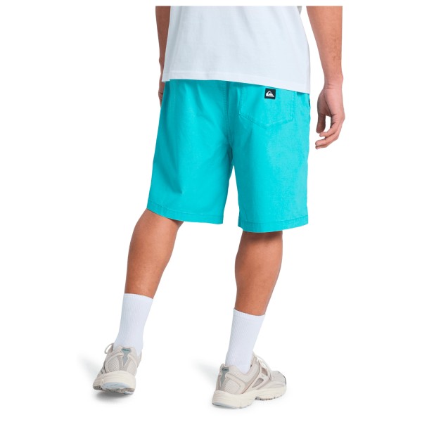 Quiksilver - Taxer Walkshort - Shorts