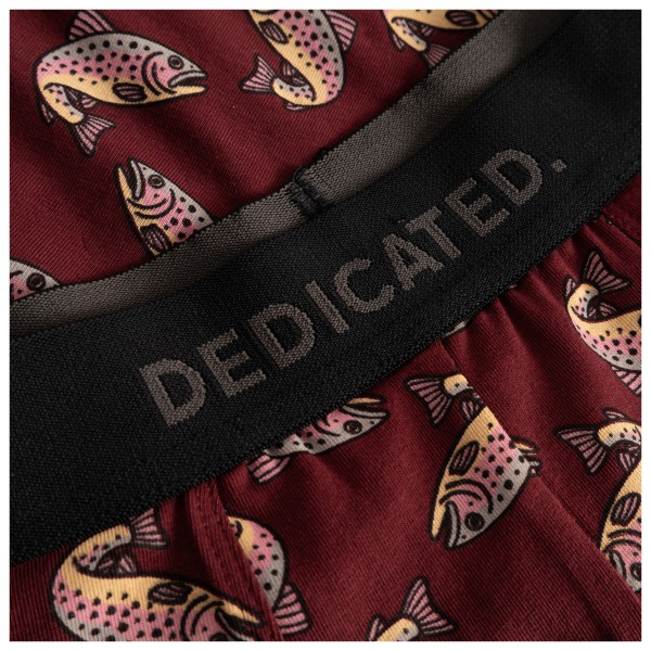 DEDICATED - Boxer Briefs Kalix Trout - Everyday base layer