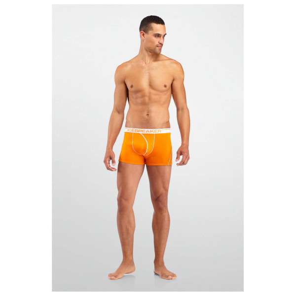 Icebreaker - Anatomica Boxers - Pantalones interiores