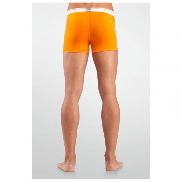 Icebreaker - Anatomica Boxers - Pantalones interiores