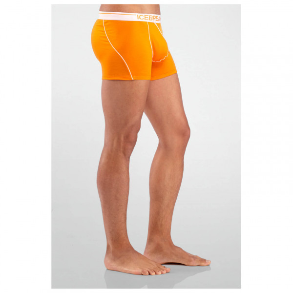 Icebreaker - Anatomica Boxers - Pantalones interiores