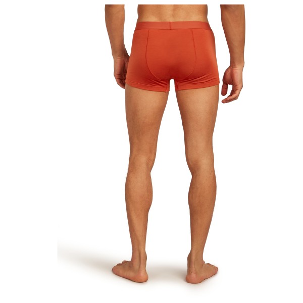 Icebreaker - Merino 125 Cool-Lite Anatomica Trunks - Intimo lana merinos