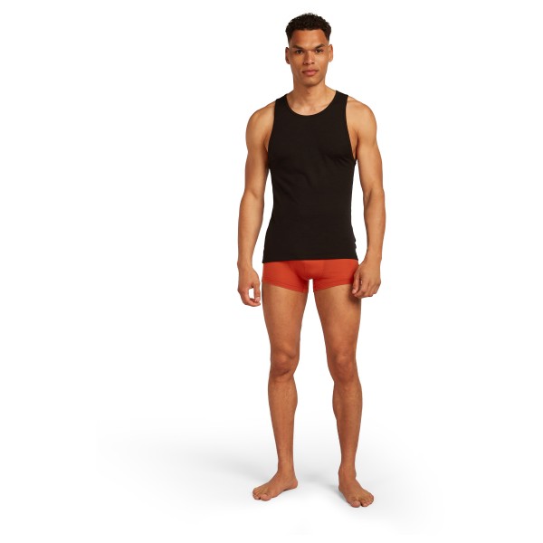Icebreaker - Merino 125 Cool-Lite Anatomica Trunks - Intimo lana merinos