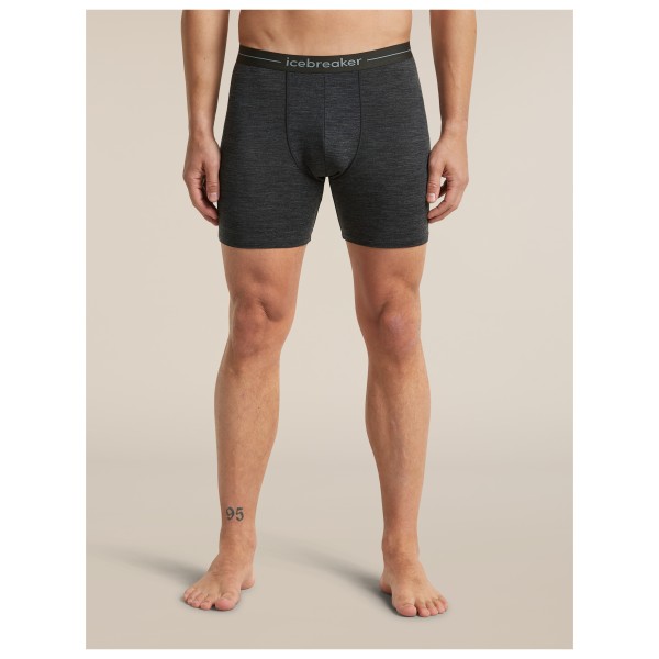 Icebreaker - Anatomica Long Boxers - Ropa interior merino