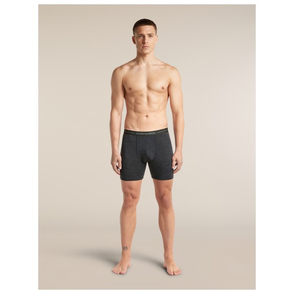 Icebreaker - Anatomica Long Boxers - Ropa interior merino