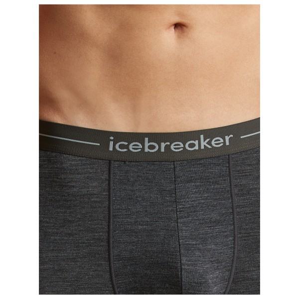 Icebreaker - Anatomica Long Boxers - Ropa interior merino