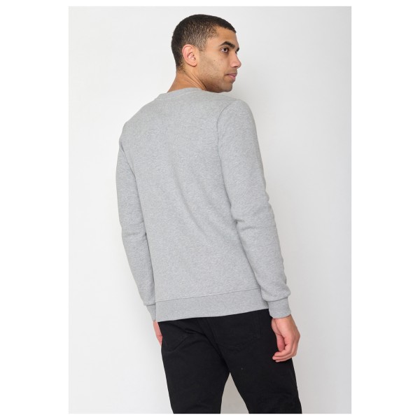 GreenBomb - Animal Bearland Wild Pullover Cotton - Pullover