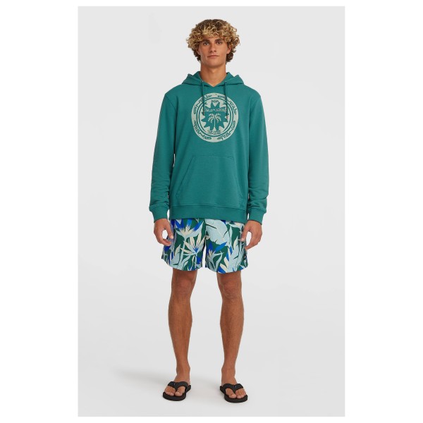 O'Neill - Musthave Graphic Hoodie - Hoodie