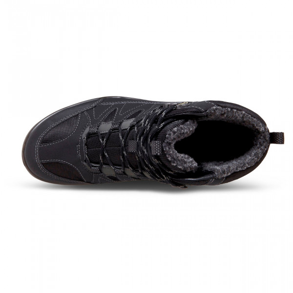 Ecco - Xpedition III GTX Synthetic - Vandresko