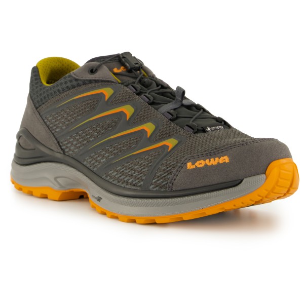 Lowa - Maddox GTX Lo - Multisport shoes