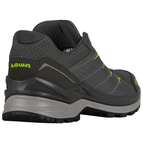 Lowa - Ferrox Pro GTX LO - Multisportschuhe