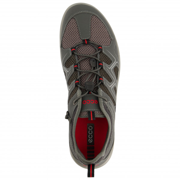 Ecco - Terracruise LT Loop - Chaussures multisports
