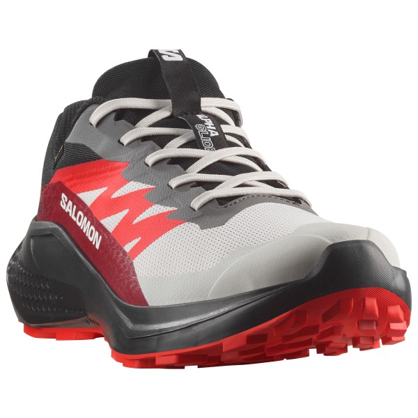 Salomon - Alphaglide GORE-TEX - Skor trailrunning