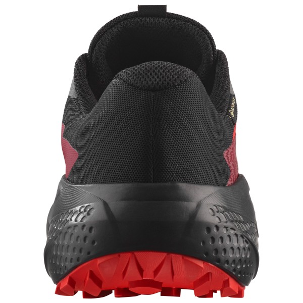 Salomon - Alphaglide GORE-TEX - Skor trailrunning