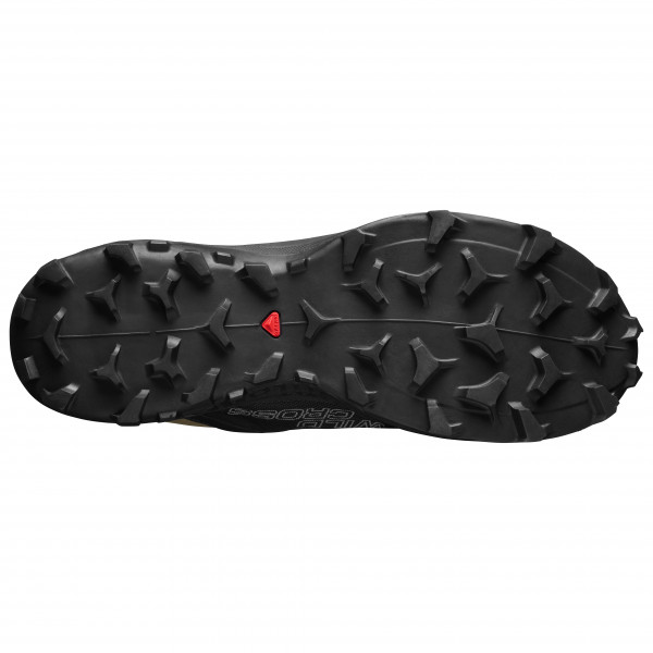 Salomon - Wildcross GTX - Trailrunningschuhe