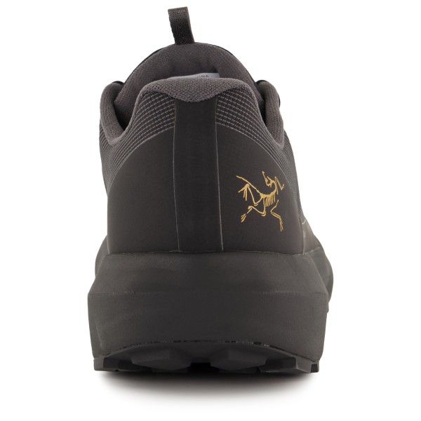 Arc'teryx - Norvan LD 4 GTX - Skor trailrunning