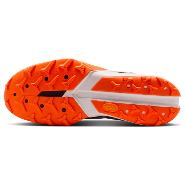 Nike - Terra Kiger 10 - Trail running shoes