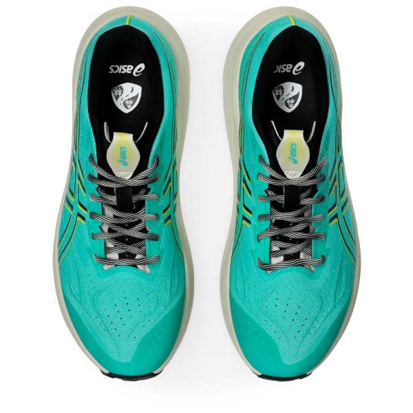 Asics - GT-2000 14 TR - Skor trailrunning