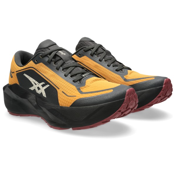 Asics - Novablast 6 GTX - Running shoes