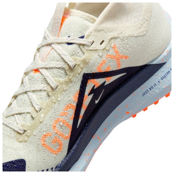 Nike - Pegasus Trail 4 GORE-TEX - Trailrunningschuhe