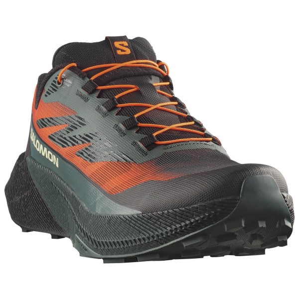Salomon - Pulsar Quiver - Skor trailrunning